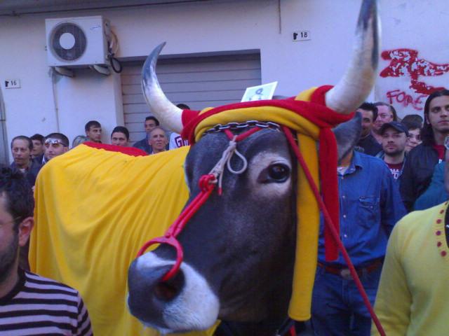 Il grande OBA OBA