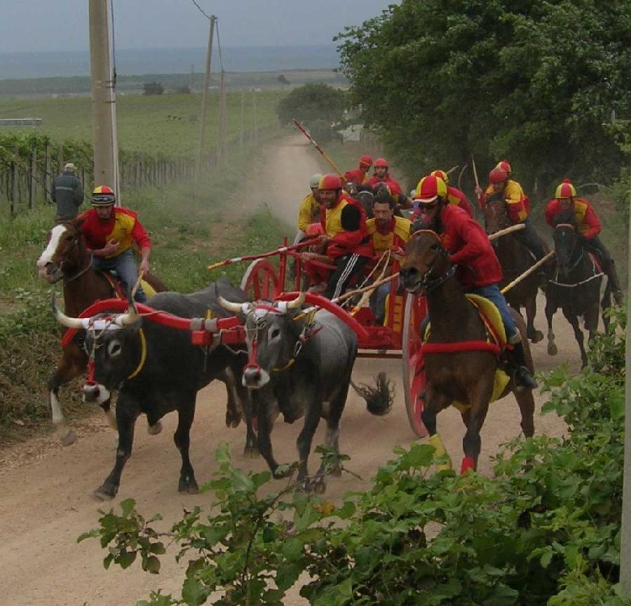 Giovanotti 2007