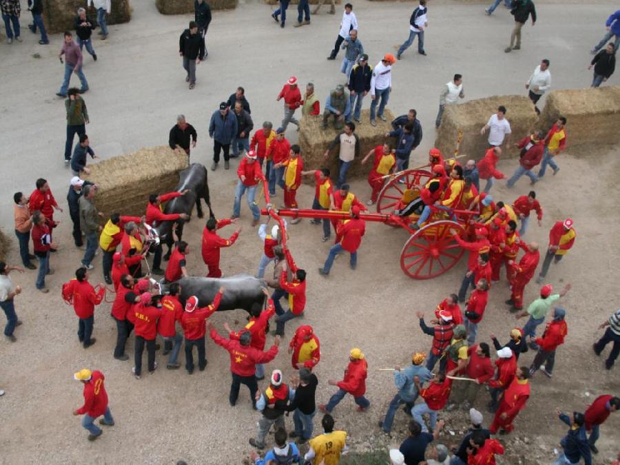 Il cambio dei buoi - 2007