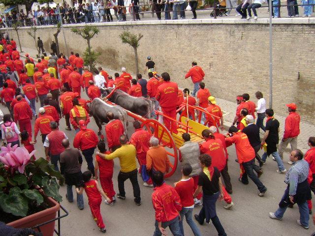 Ambo, terno e quaterna su due ruote,2