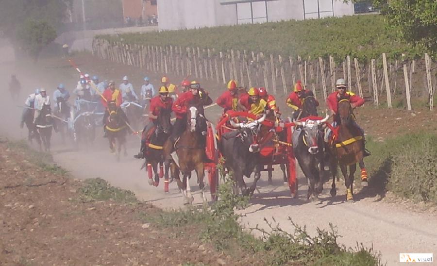 Campioni 2008