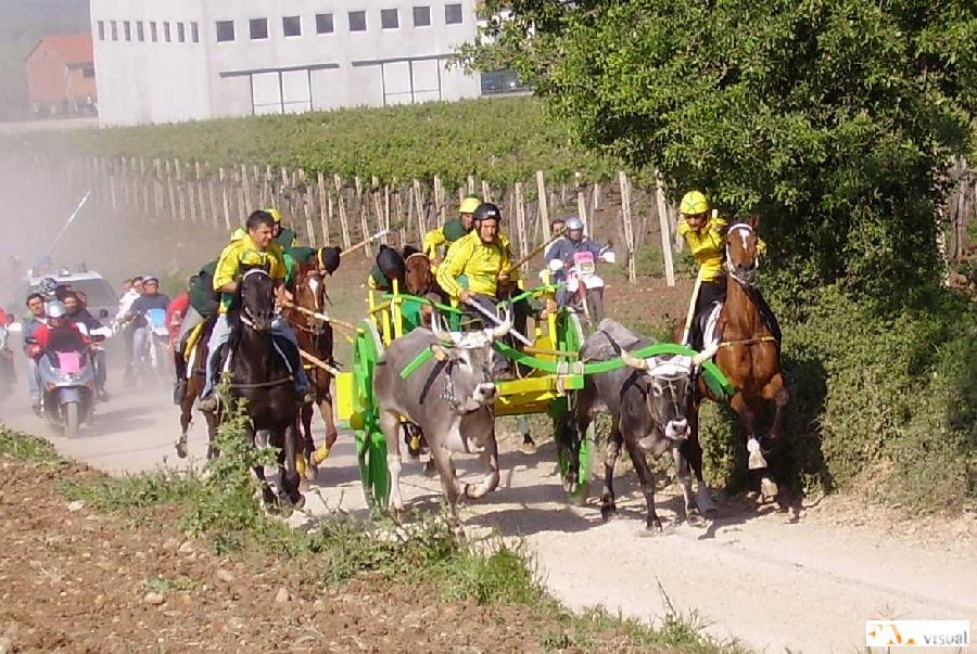 I Giovanissimi: terzo posto