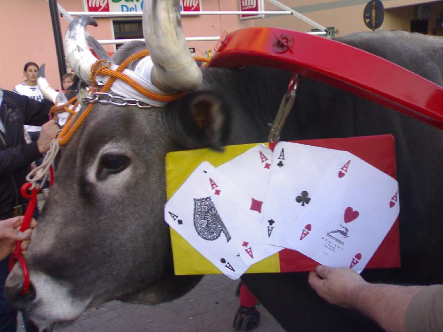 POKER 2008