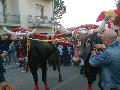1�maggio2008