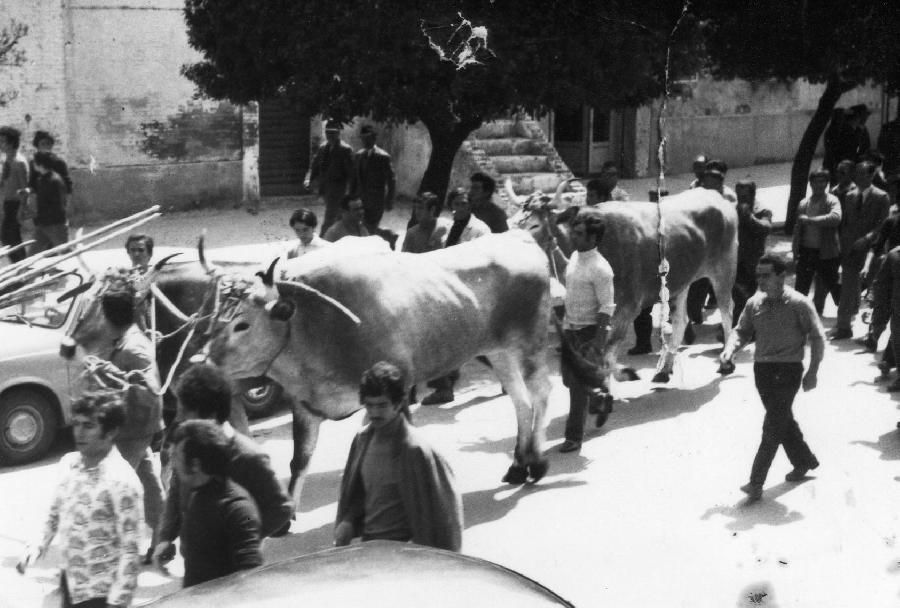 Giovanotti anni 60