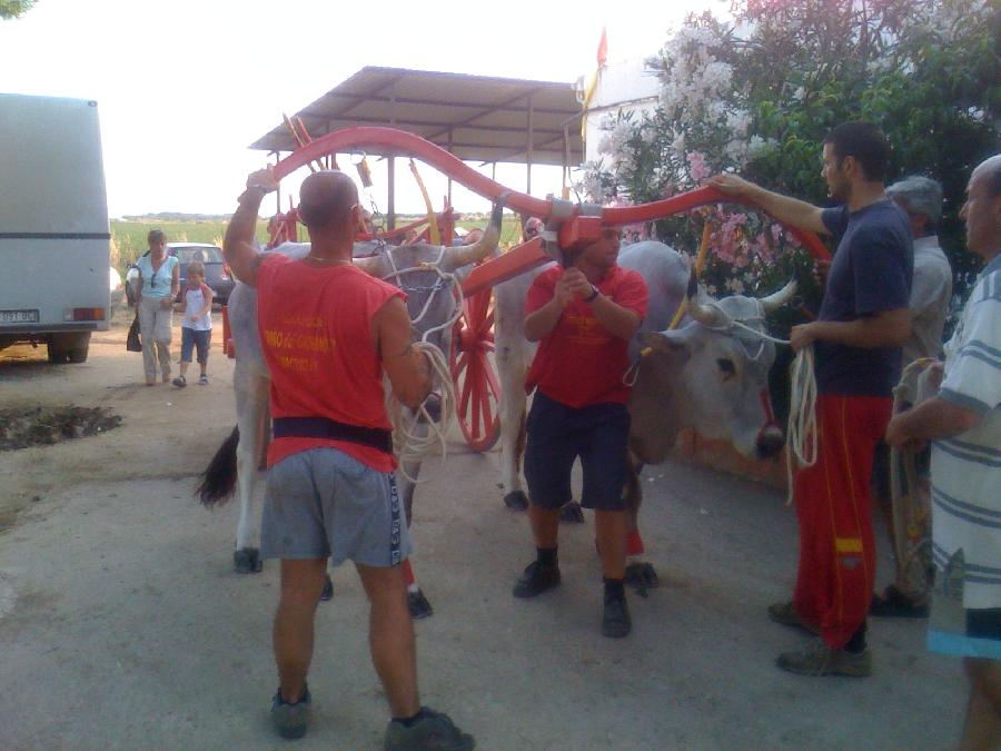 Oggi la Carrese dagosto