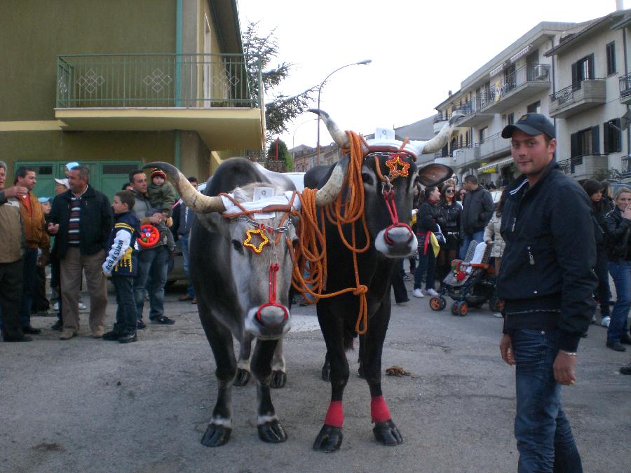 Grazioso e Barone