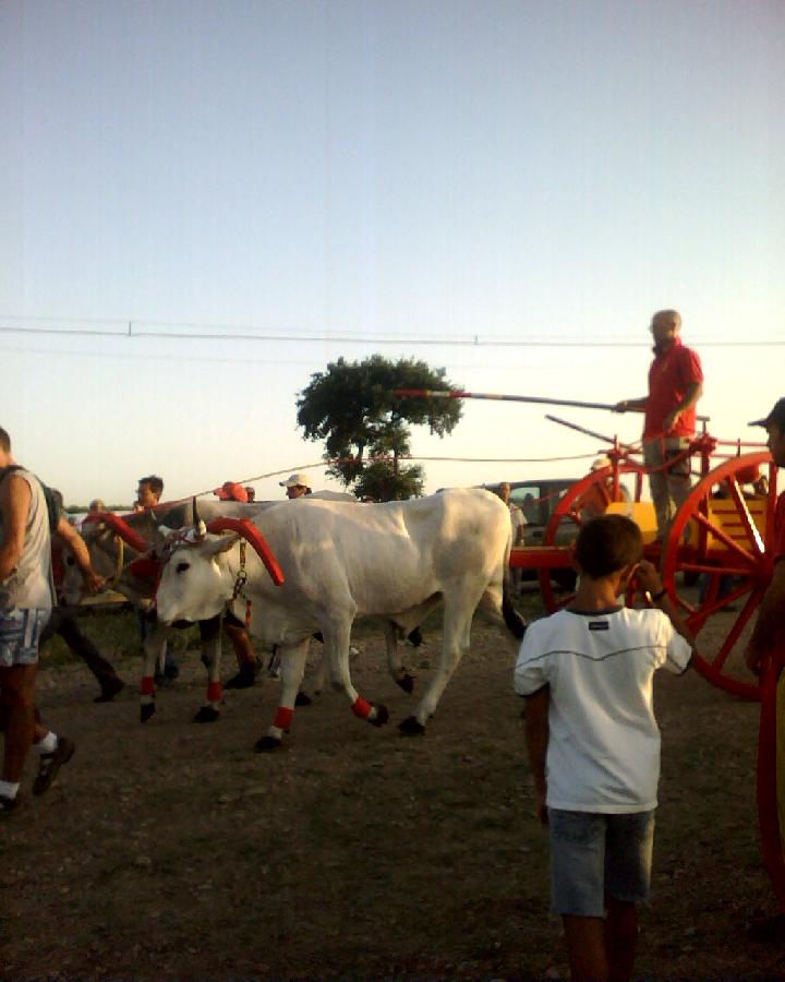 I nuovi arrivi che scendono in campo!